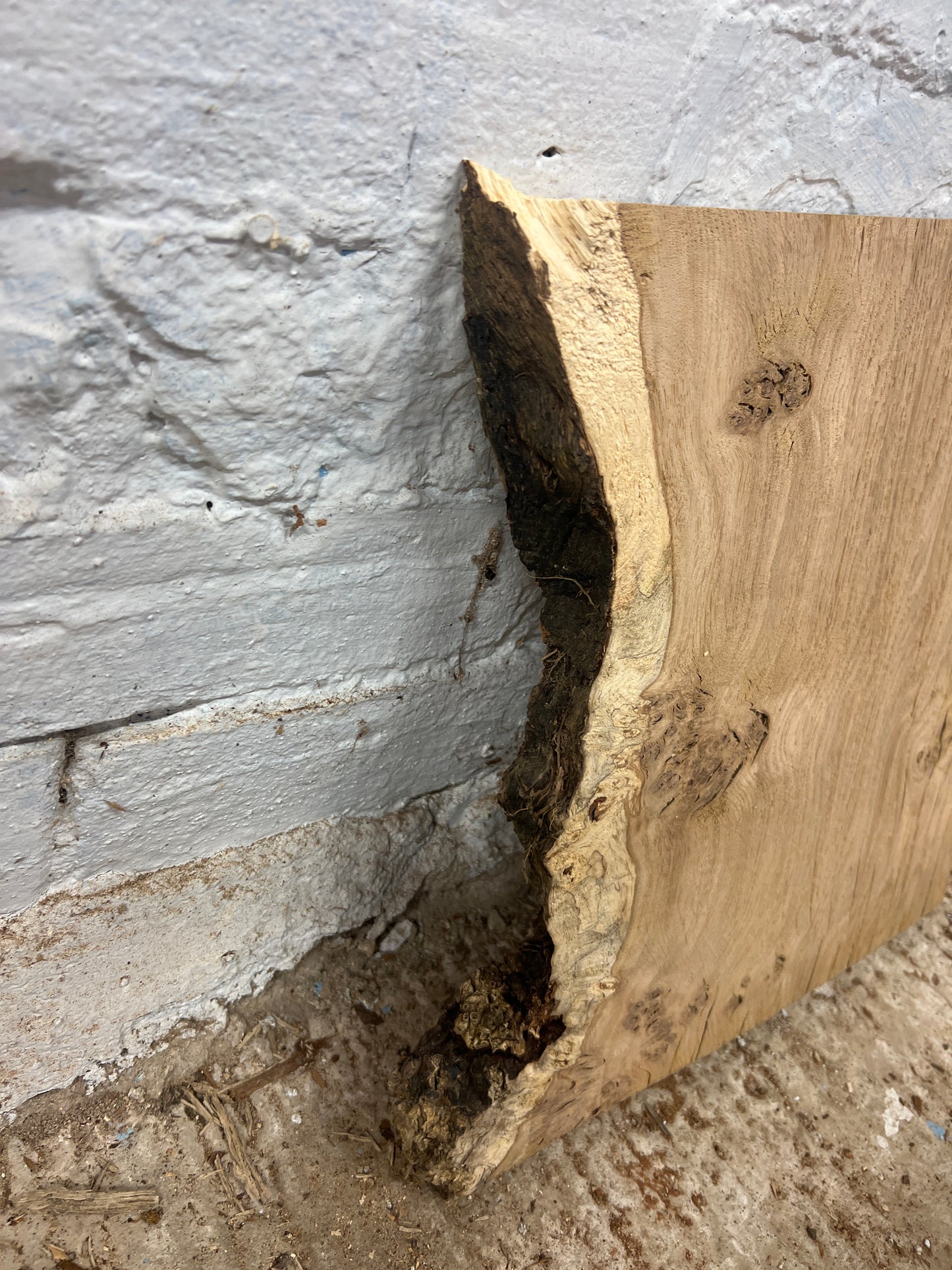 Aged Pippy Oak 162 - 360x305-370x30mm Planed