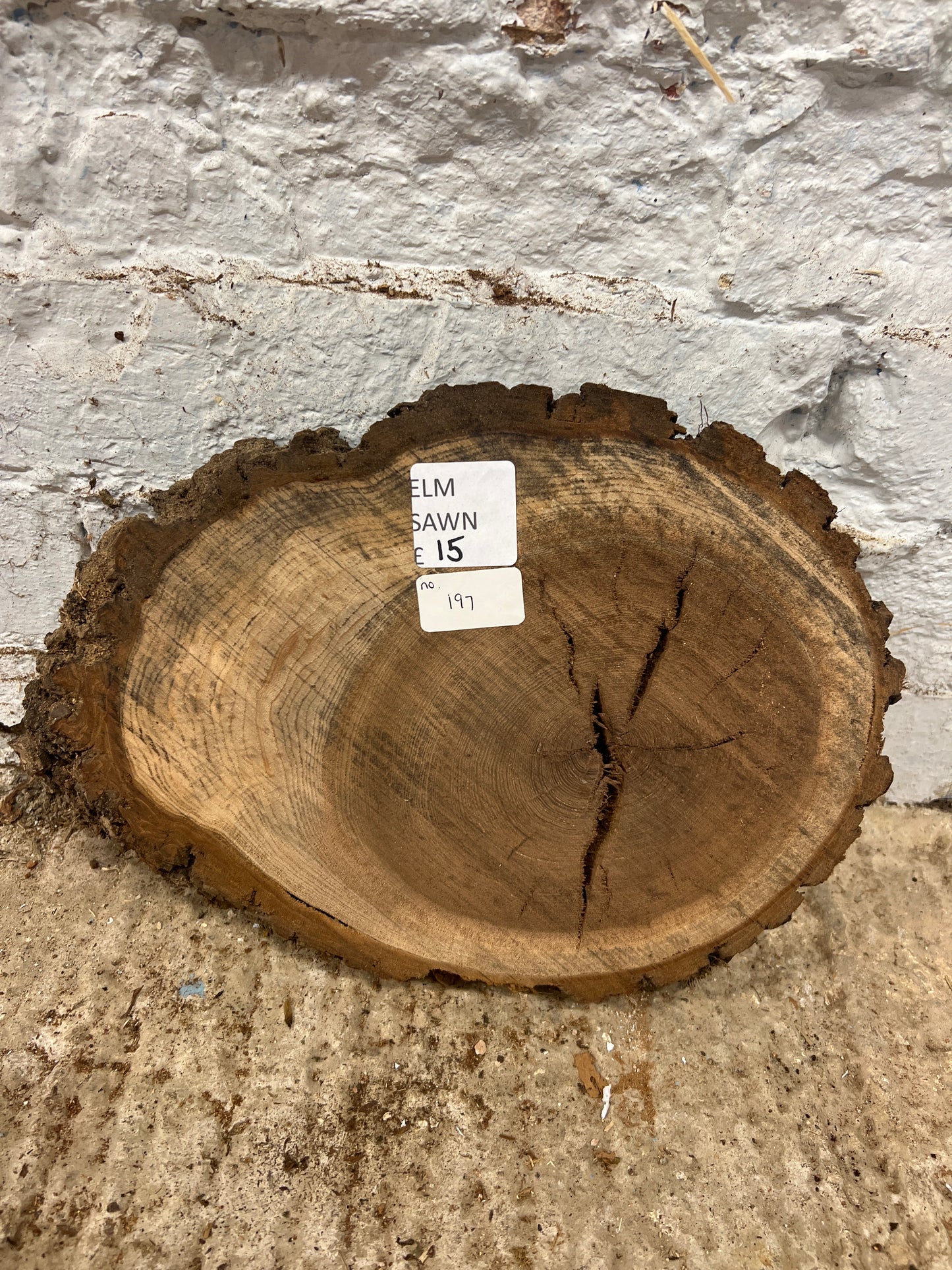 Elm No 197 - 310x220x25mm Sawn