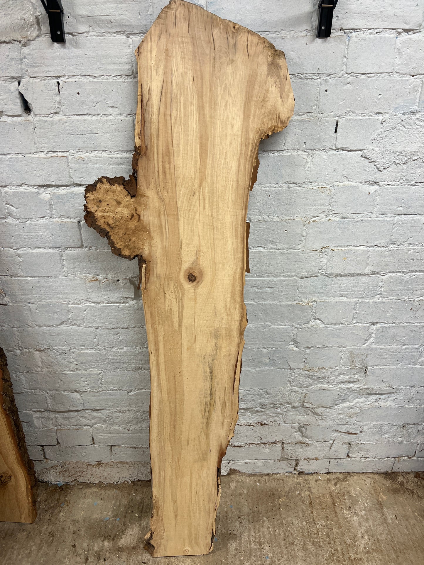 Horse Chestnut No 168 - 1460x170-380x30mm Planed