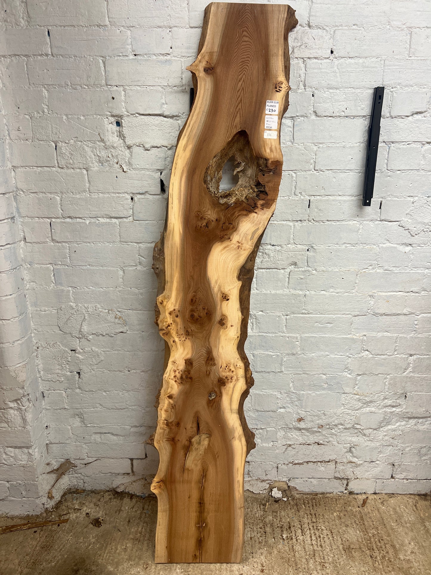 Burr Elm No 226 - 1770x250-350x40mm