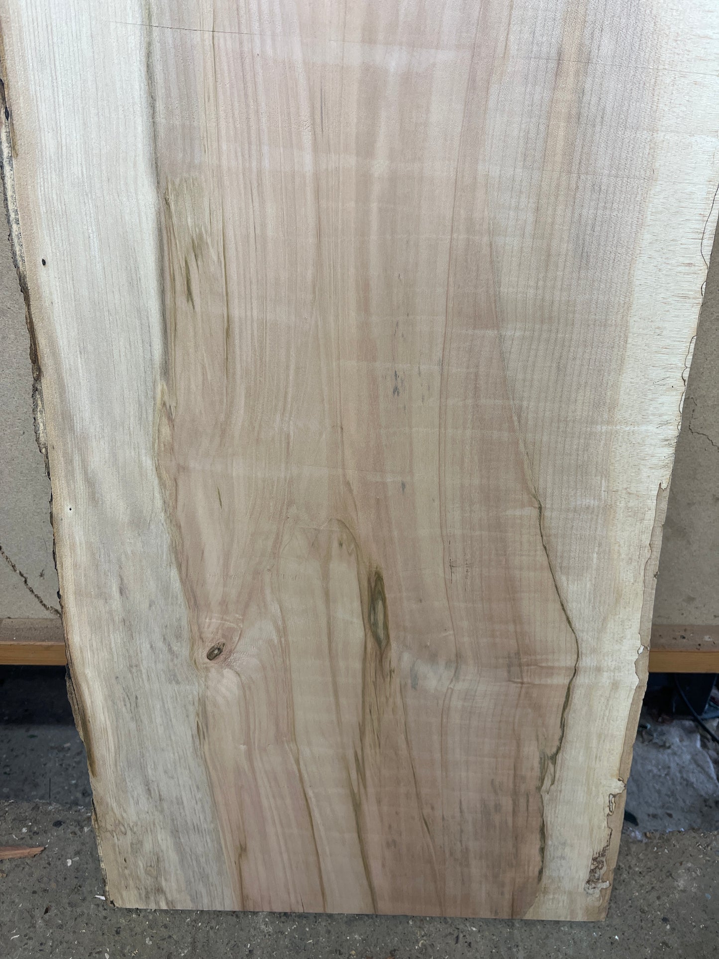 Beech No 173 - 1310x510-550x37mm Planed
