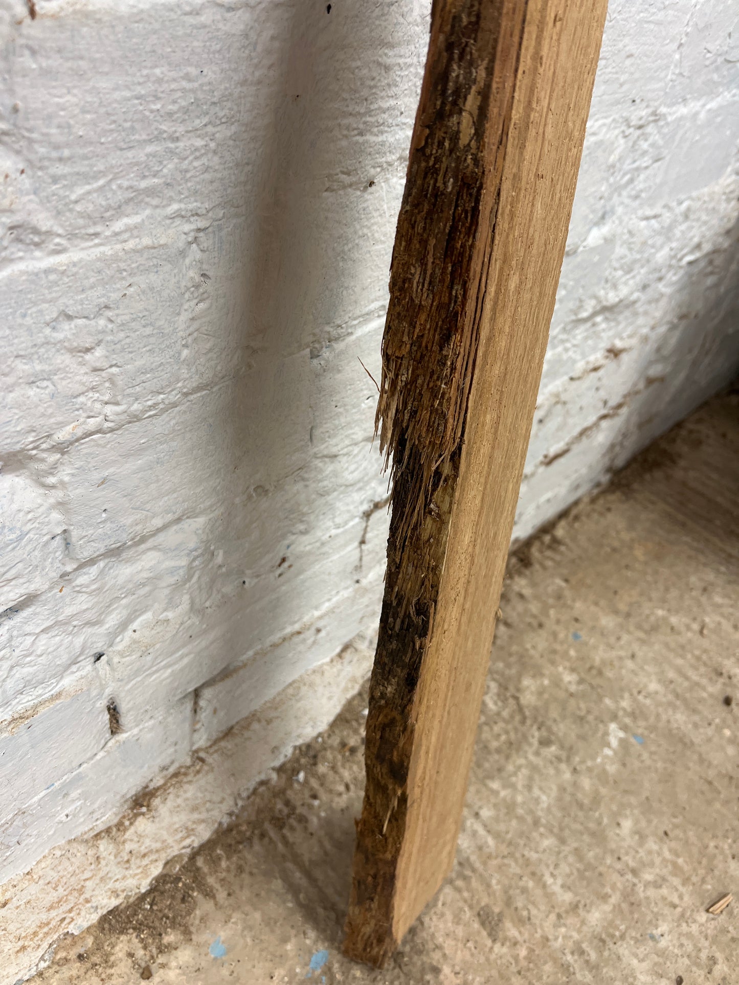 Oak No 12 - 915x60-100x30mm Planed