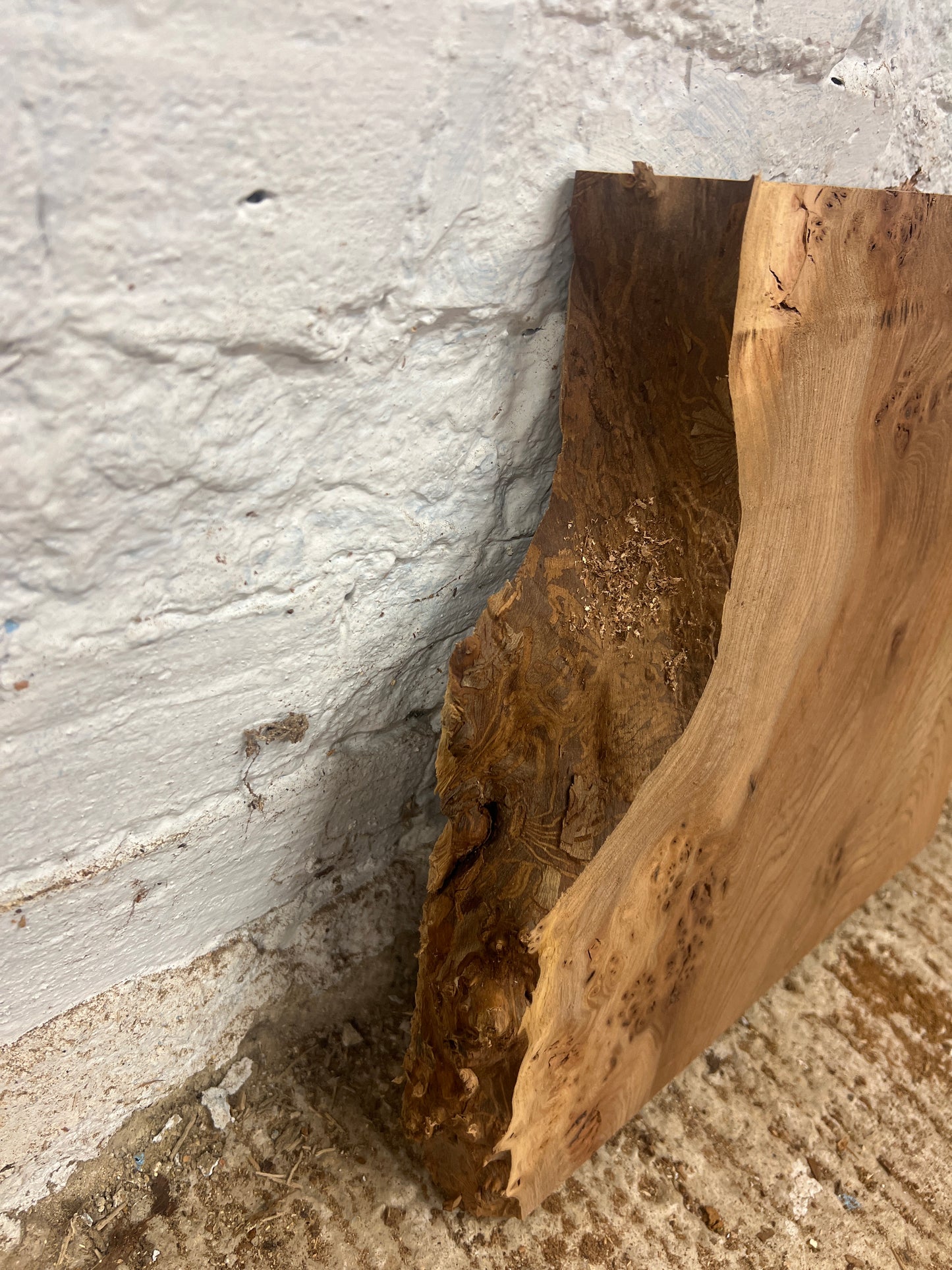Burr Elm No 135 - 380x375-420x43mm Planed