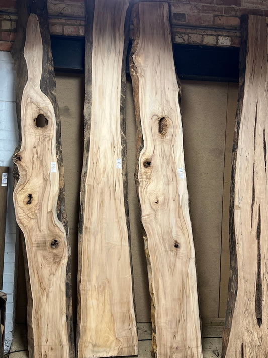 Planed Beech Boards - 2500mm+
