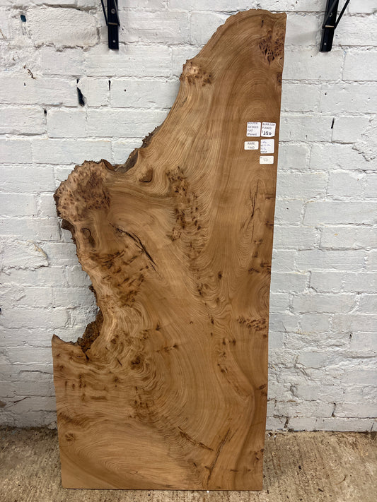 Burr Elm No 221- 1480x530-680x35mm Planed