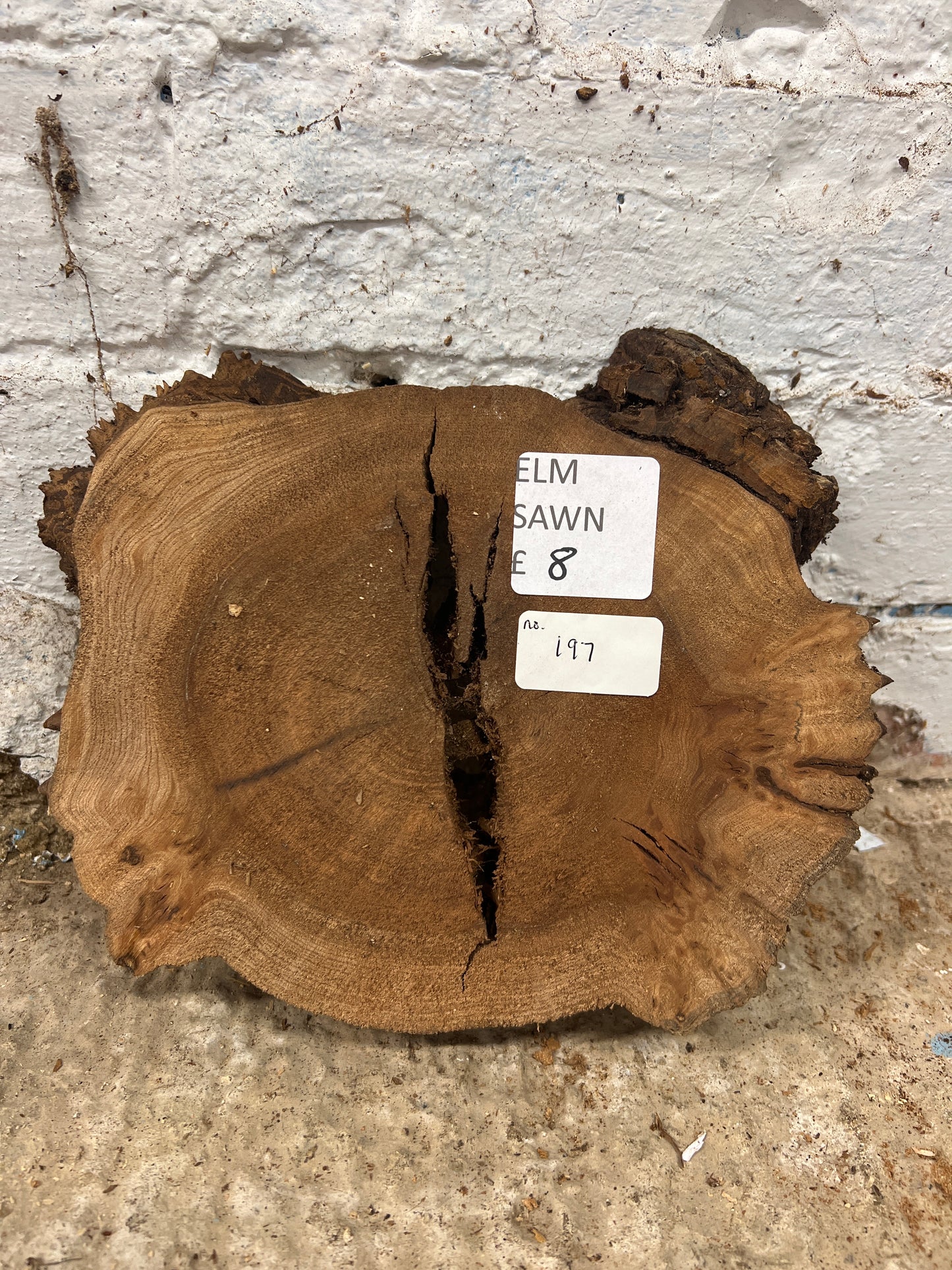 Elm No 197 - 230x175x40mm Sawn