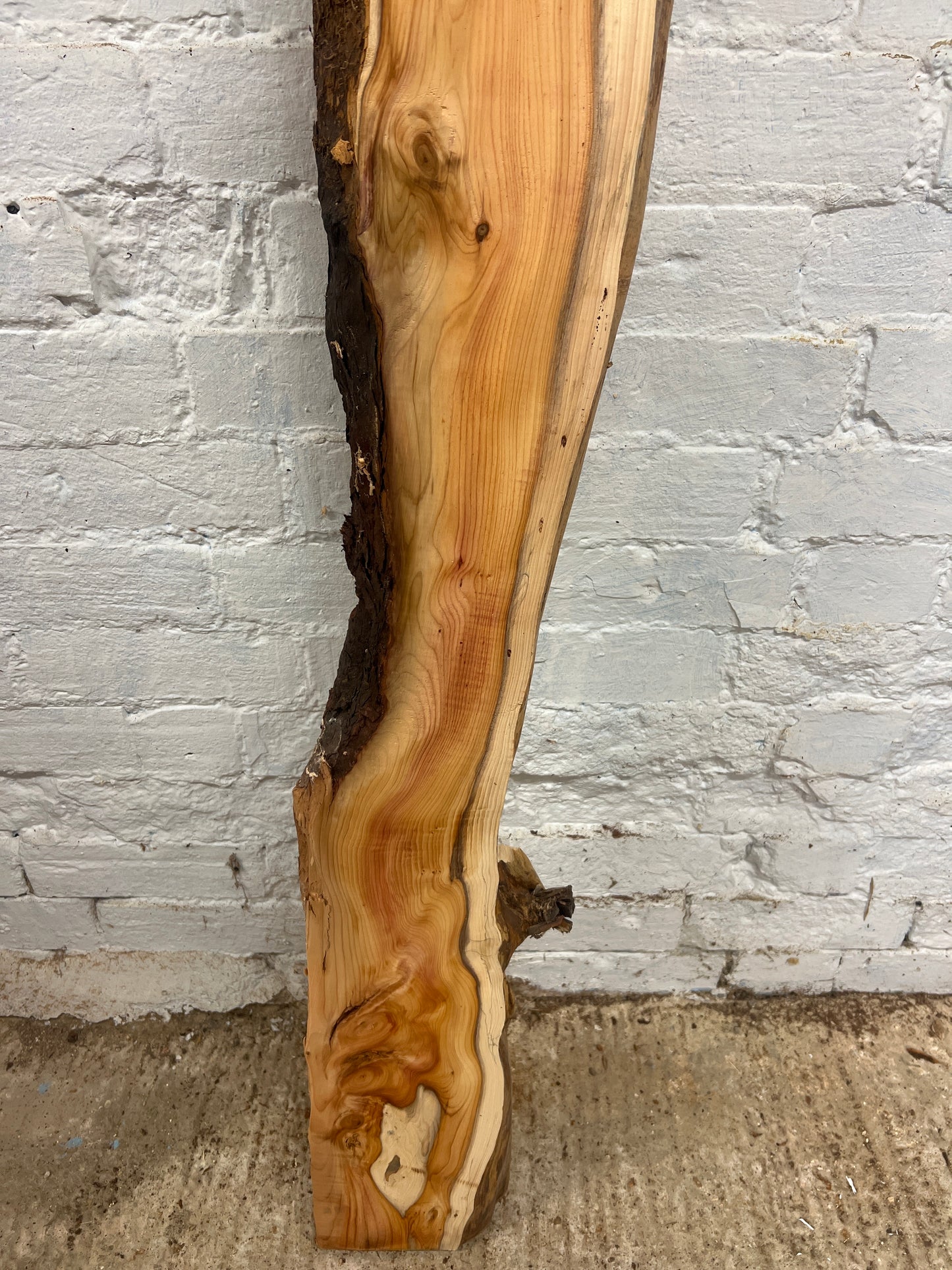 Yew No 81 - 1460x100-180x55mm Planed
