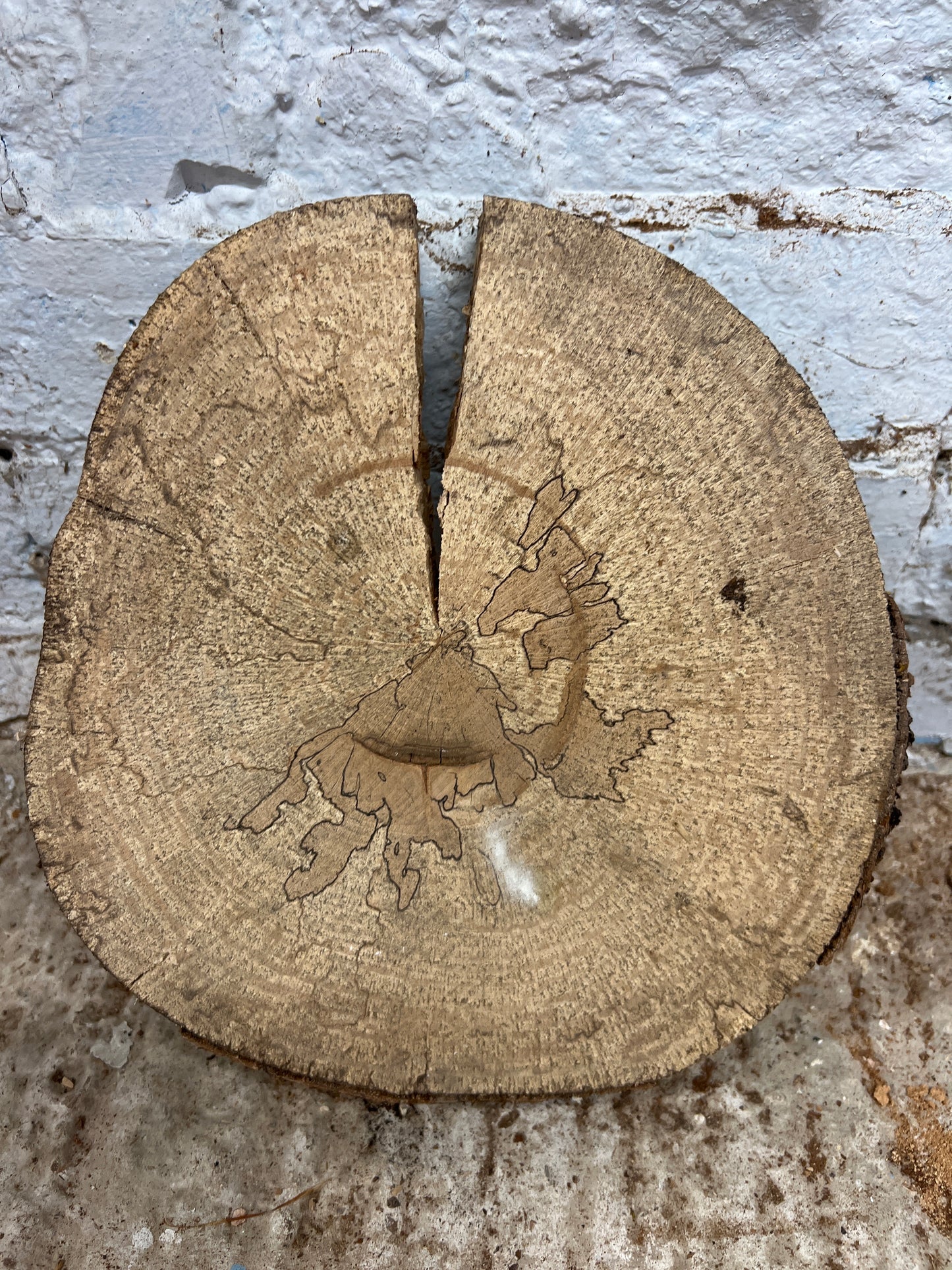 Spalted Beech No 172 - 270x280x55mm Sawn