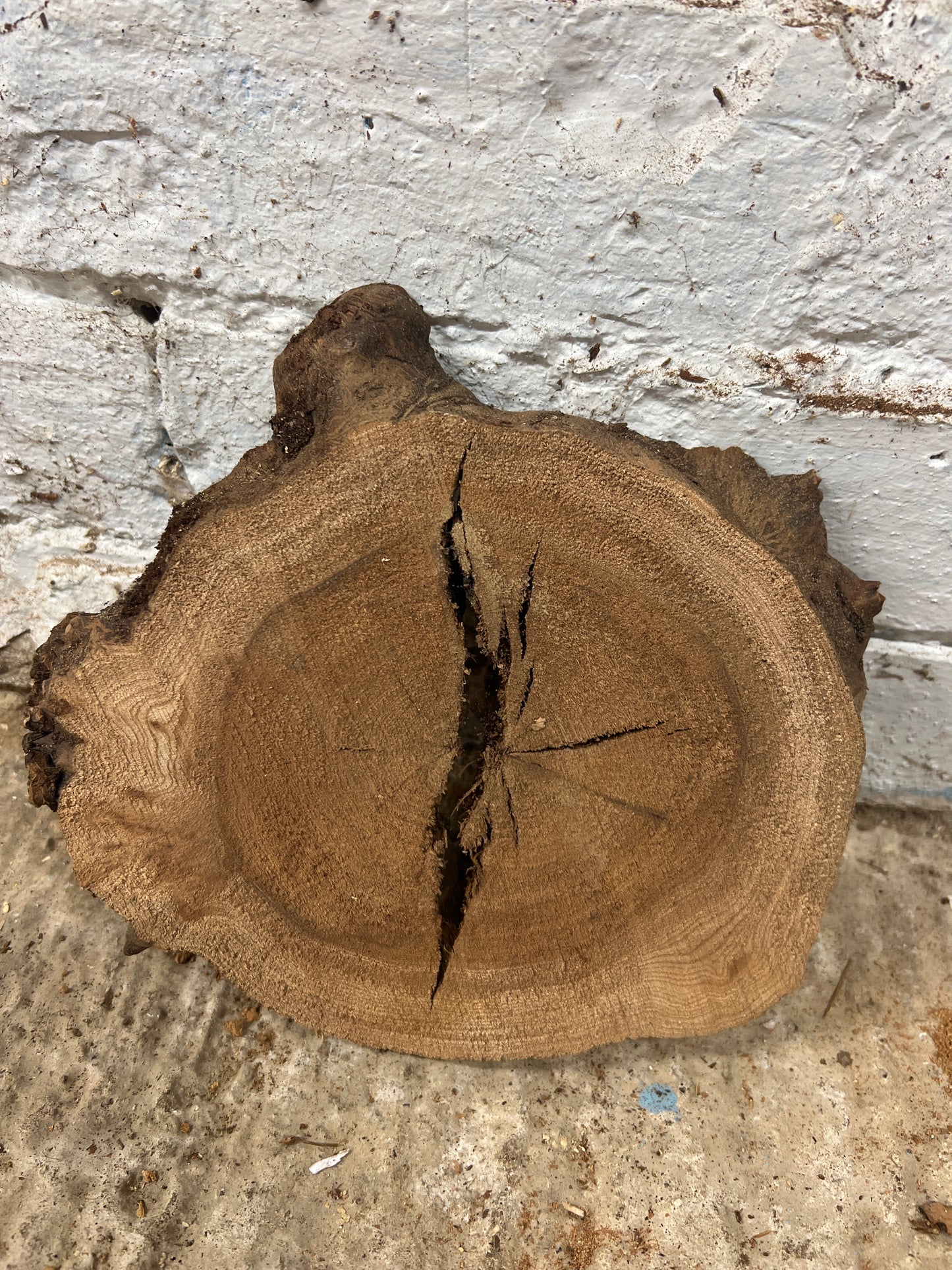 Elm No 196 - 220x180x30mm Sawn