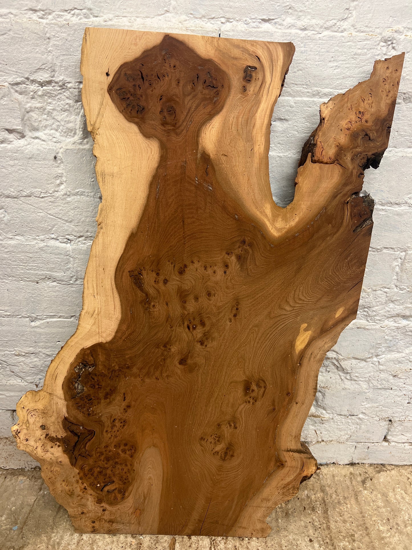 Burr Elm No 222 - 885x380-550x33mm Planed