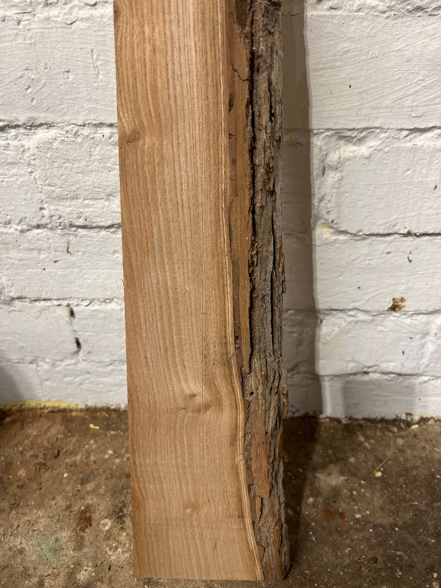 Elm No 13 - 680x60-120x30mm Planed
