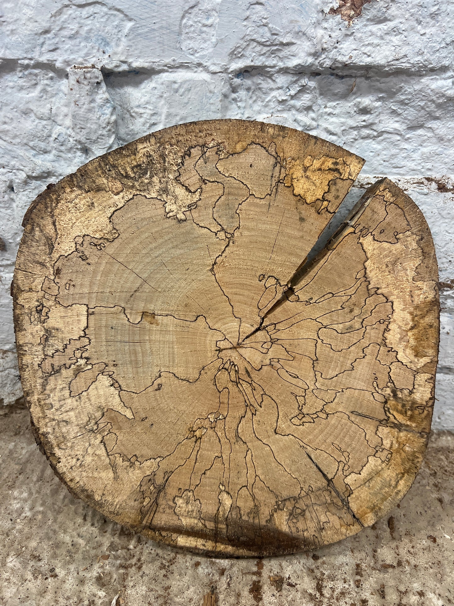Spalted Beech Round No 232 - 290x300x50mm Sawn