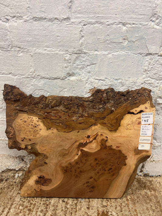 Burr Elm No 80 - 480x330-370x35mm Planed