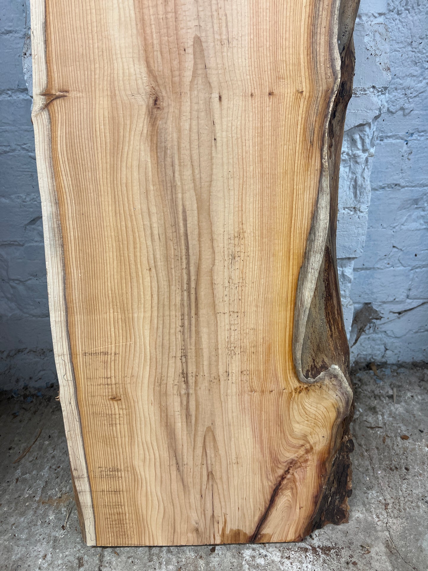 Yew No 81 - 1160x300- 390x40mm A