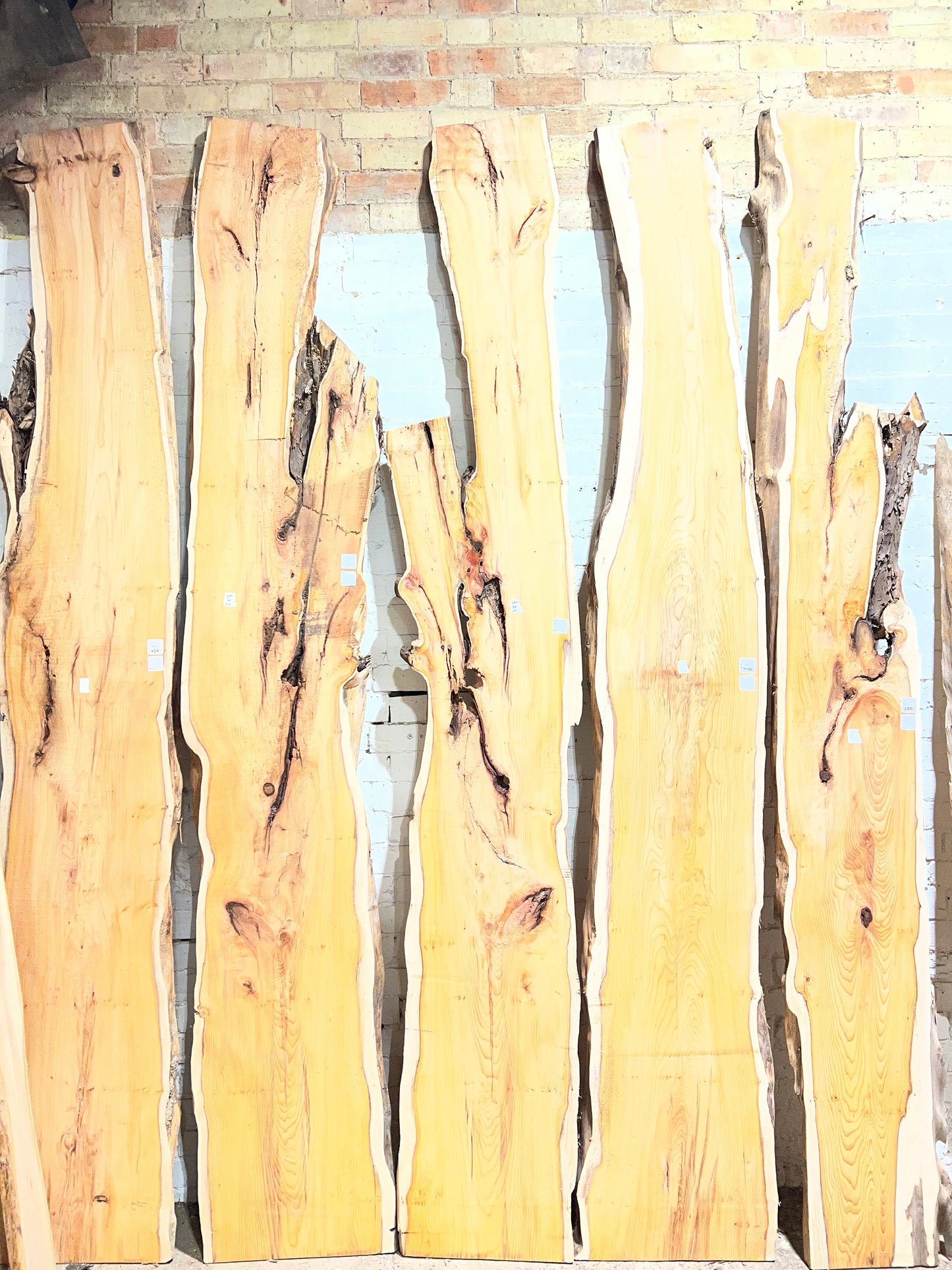 Planed Yew Boards - 2500mm+