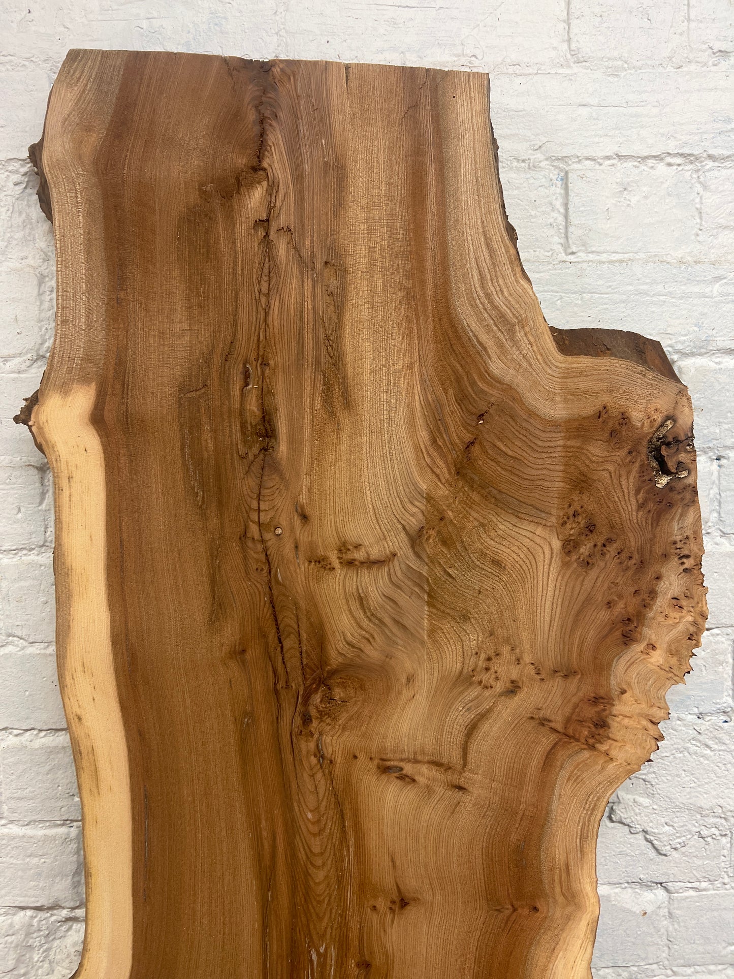 Burr Elm No 230 - 1760x340-600x30mm Planed