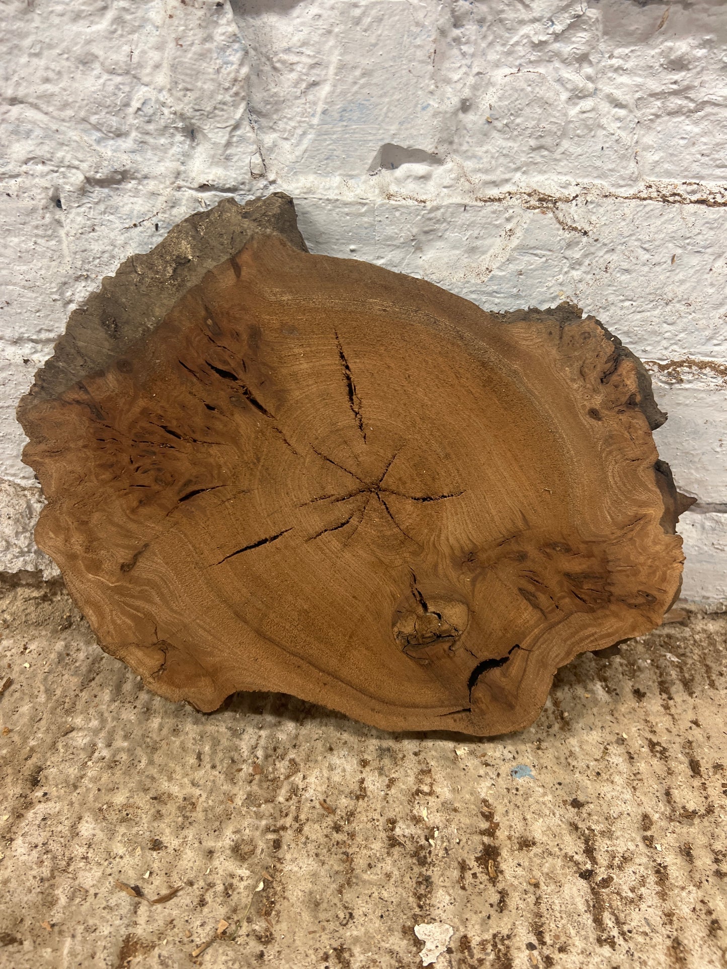 Burr Elm No 107 - 310x200x30mm Sawn