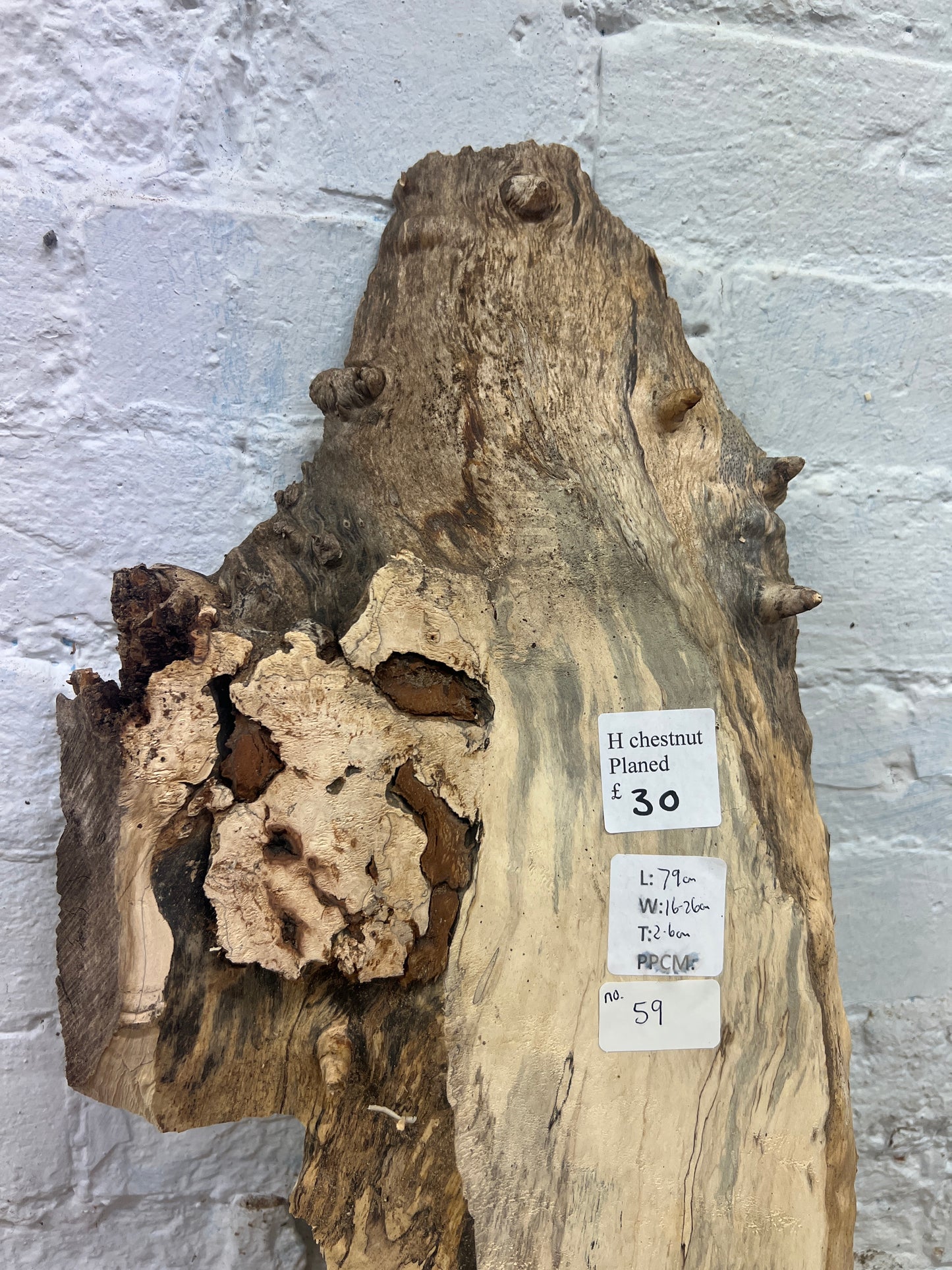 Horse Chestnut No 59 - 790x160-260x26mm Planed