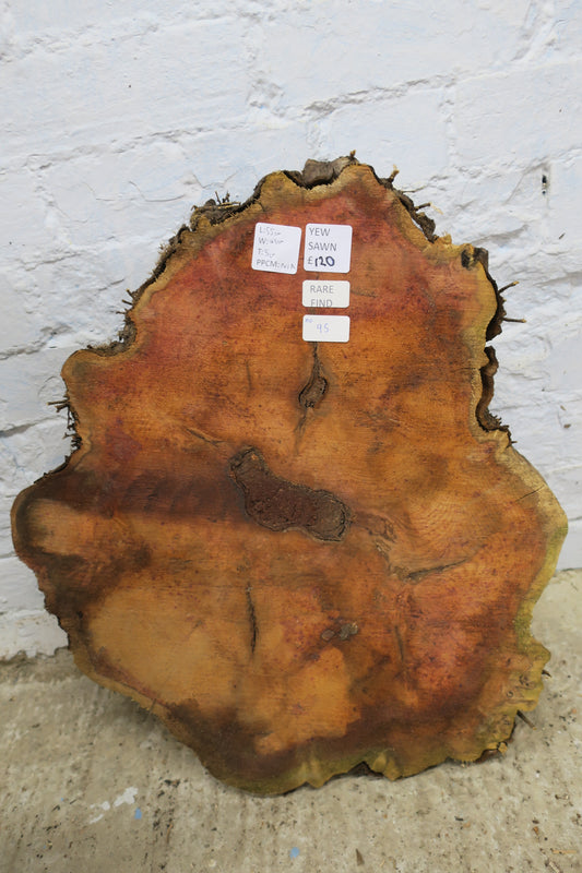 Yew No 95 - 550x480x50mm Planed