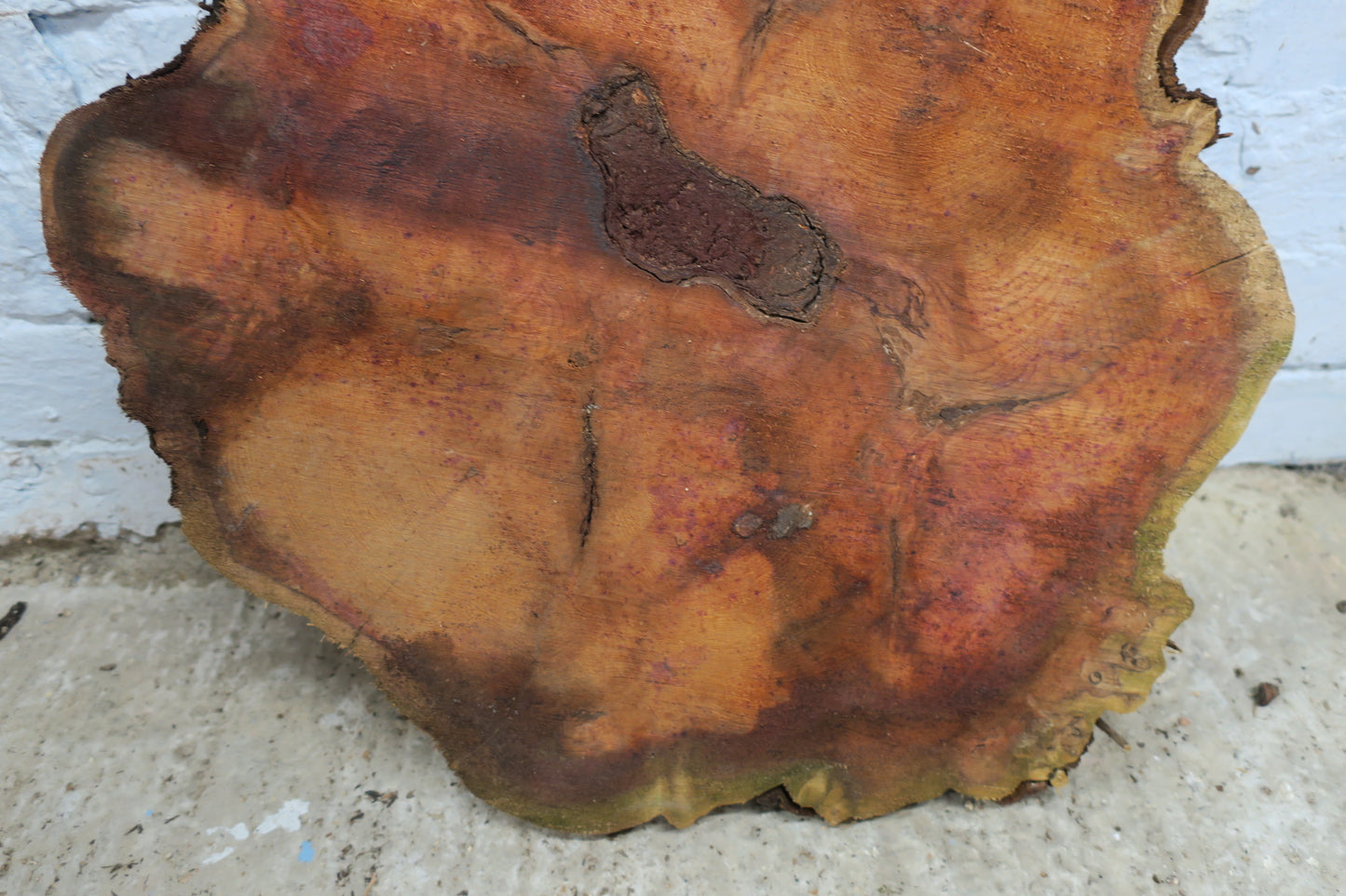 Yew No 95 - 550x480x50mm Planed