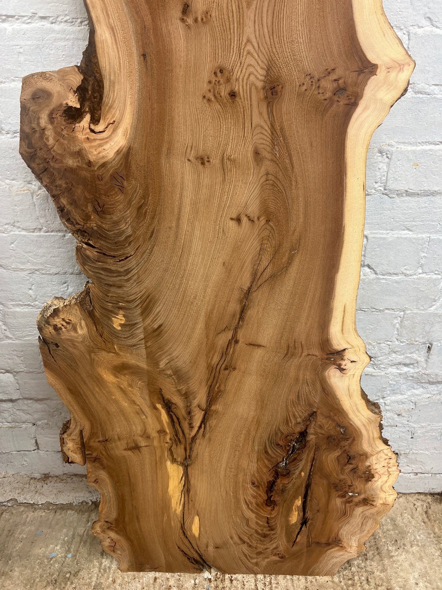Burr Elm No 230 - 1760x340-600x30mm Planed