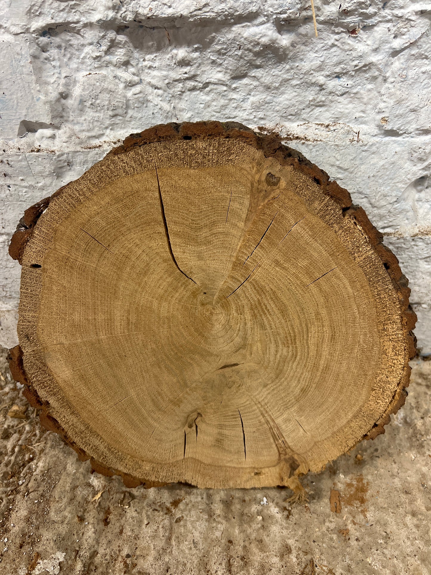 Oak No 199 - 280x270x50mm Sawn