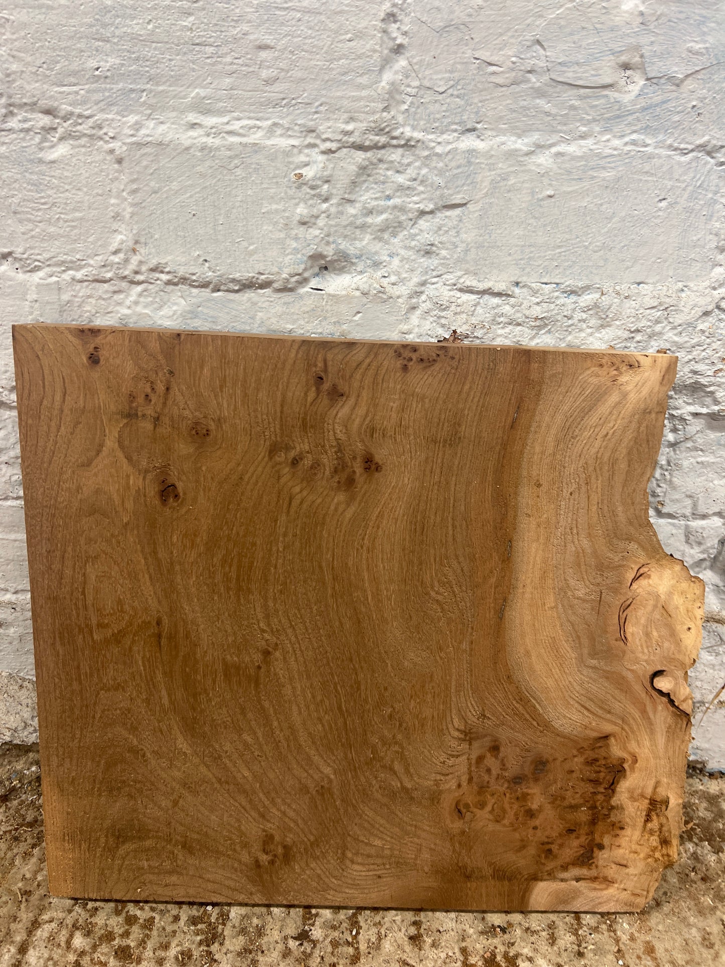 Burr Elm No 135 - 380x375-420x43mm Planed