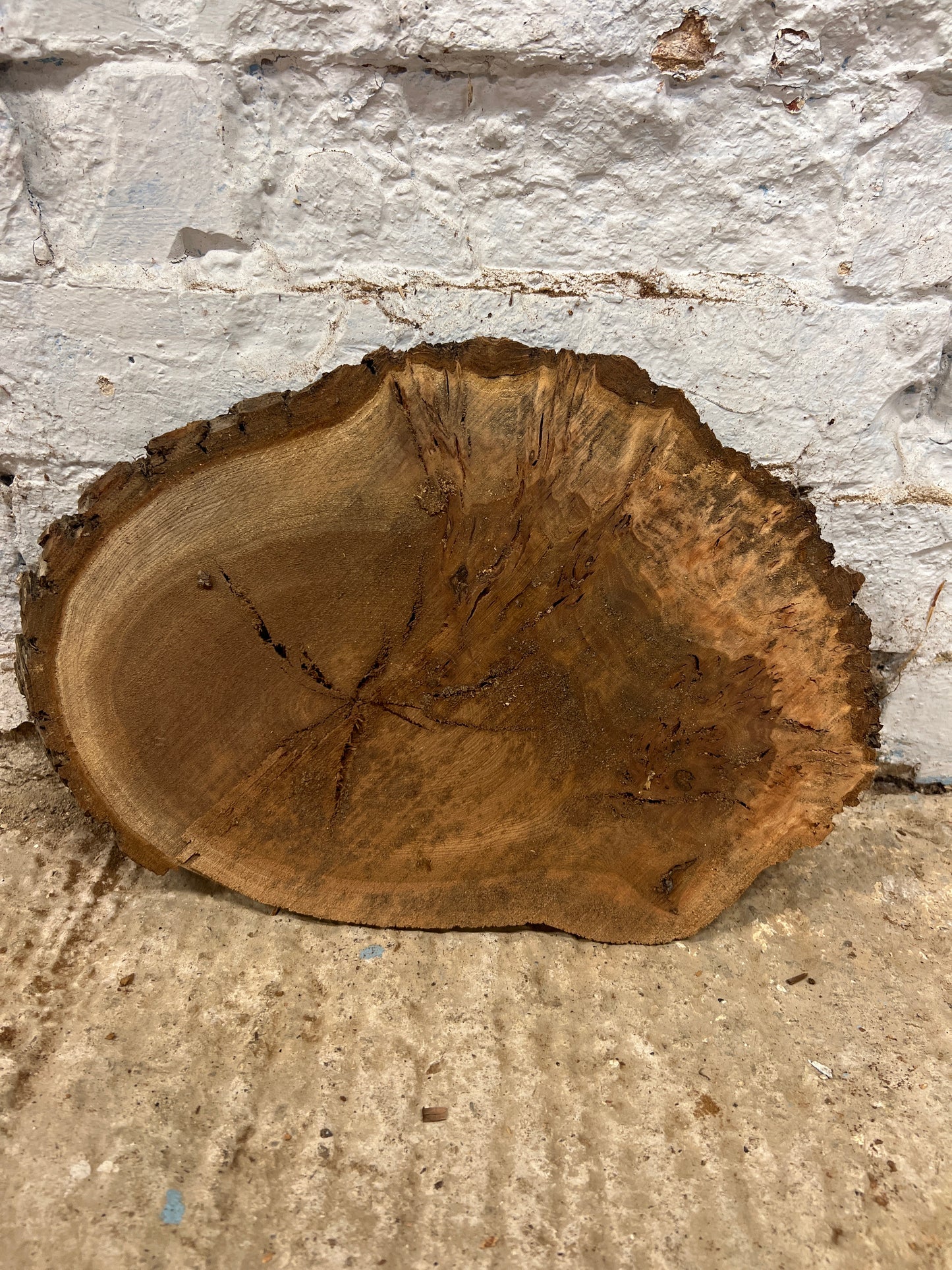 Burr Elm No 107 - 350x240x20mm Sawn