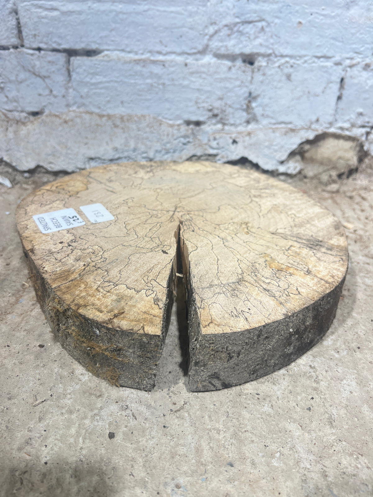 Spalted Beech Round No 231 - 290x300x50mm Sawn
