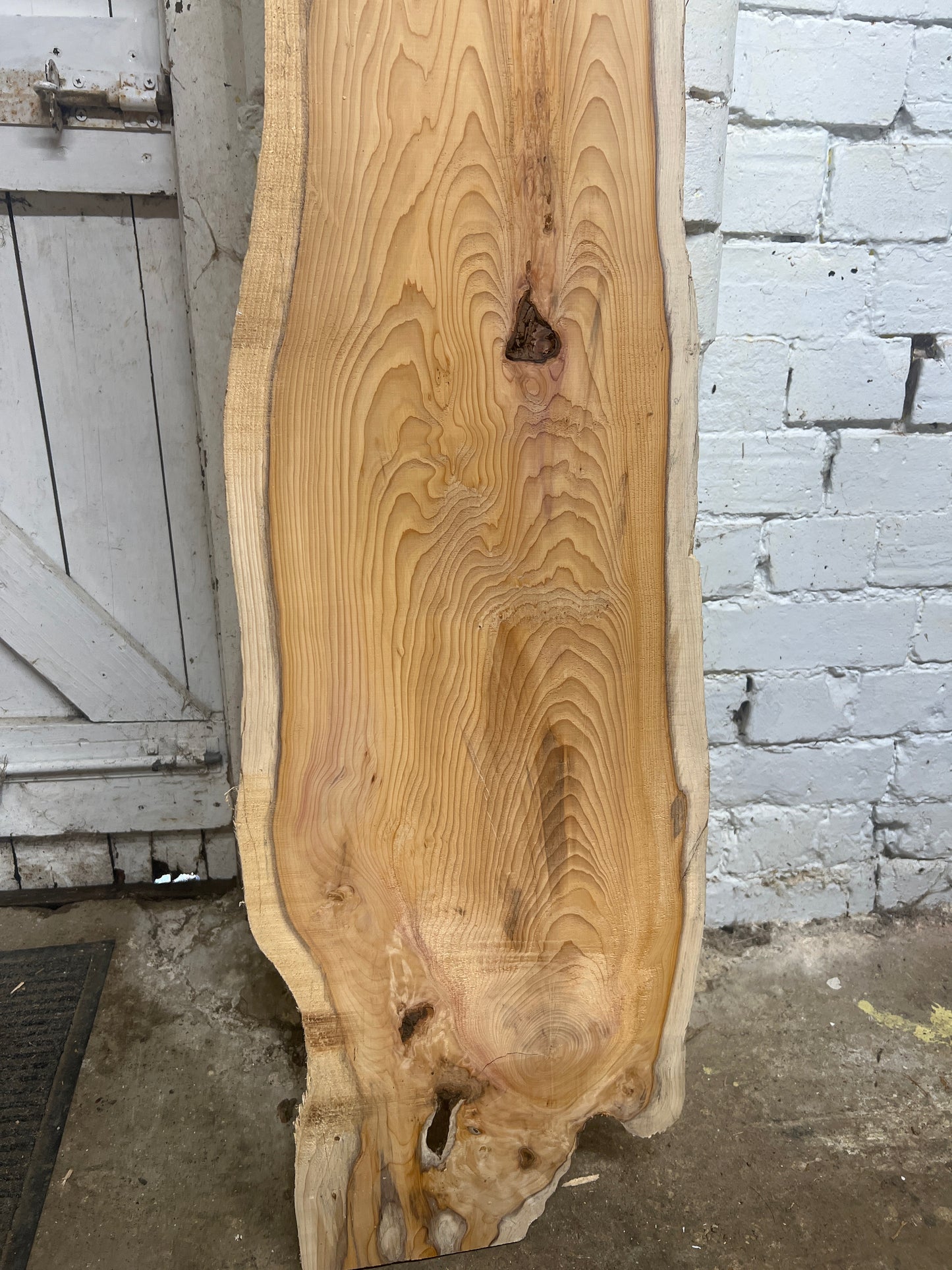 Yew No 256 - 1480x200-330x50mm Planed