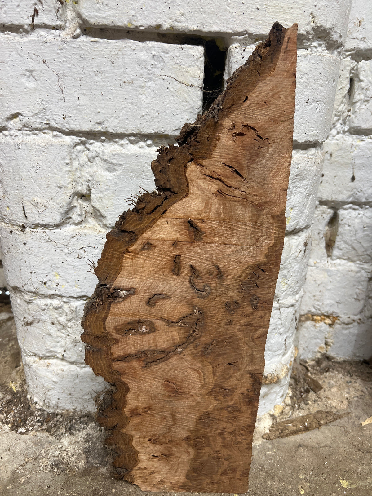 Burr Elm No 228 - 410x130-160x25mm Sawn