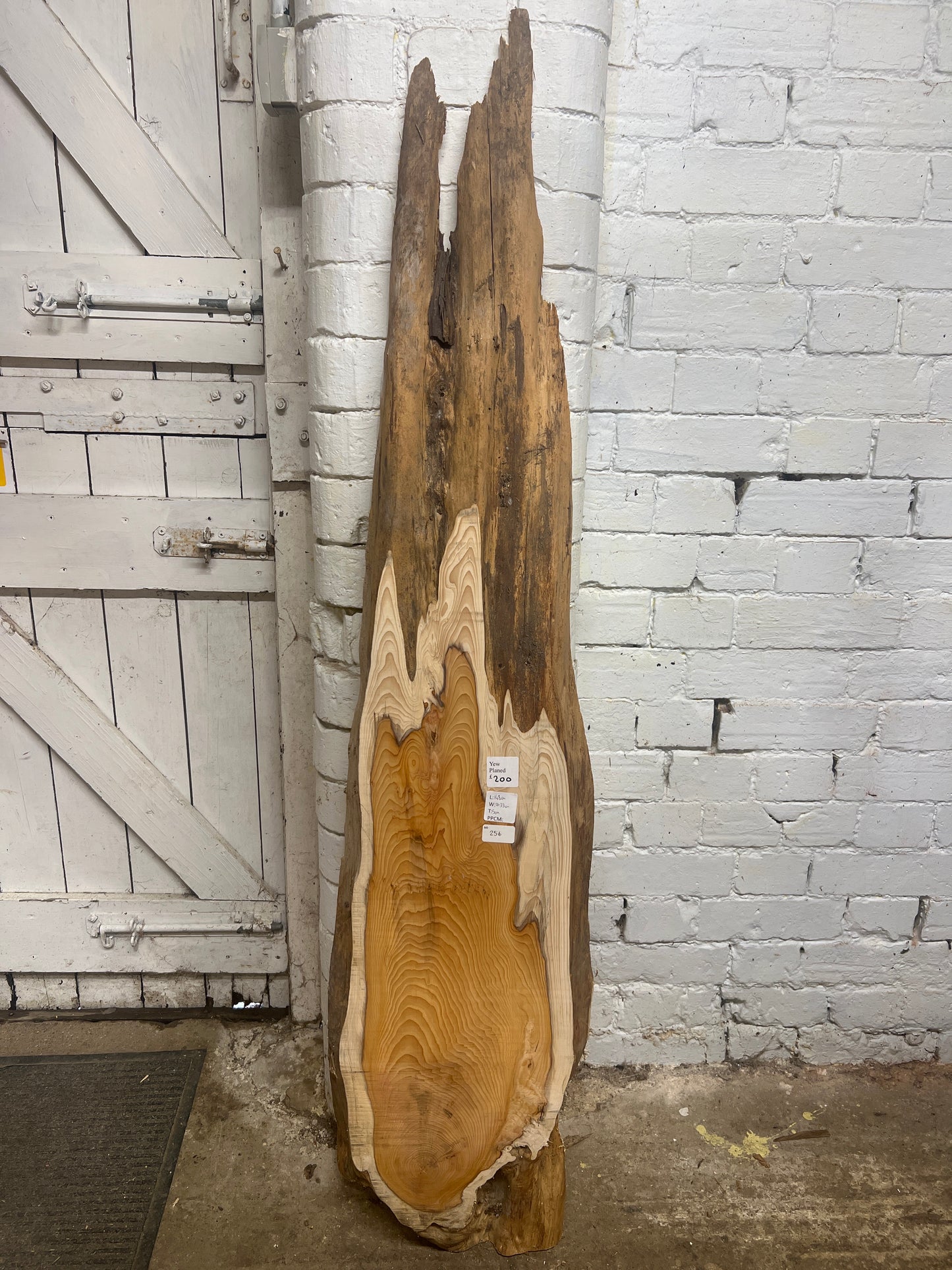 Yew No 256 - 1480x200-330x50mm Planed