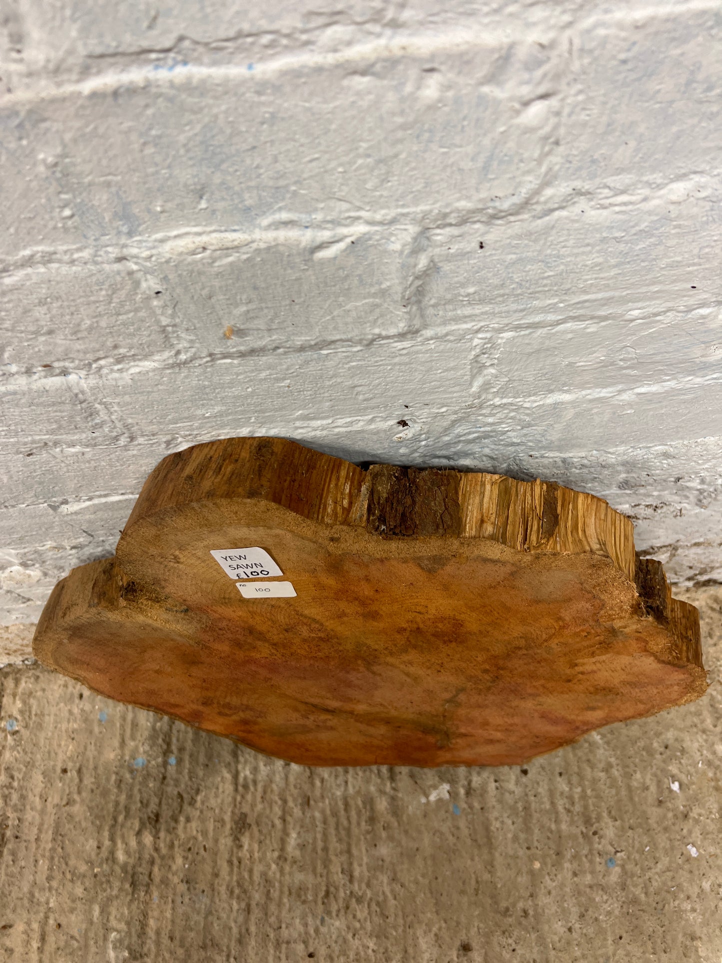 Yew No 100 - 540x500x55mm Sawn