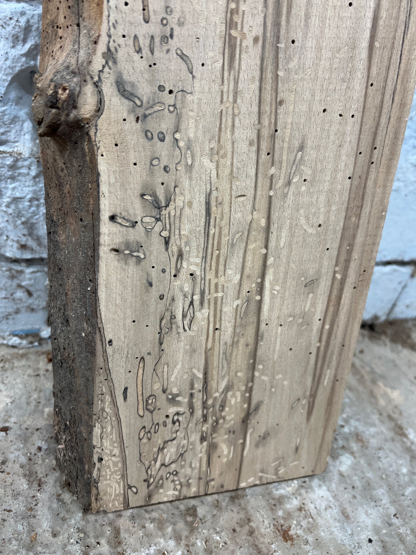 Spalted beech No 17 - 550x170-175x40mm Planed