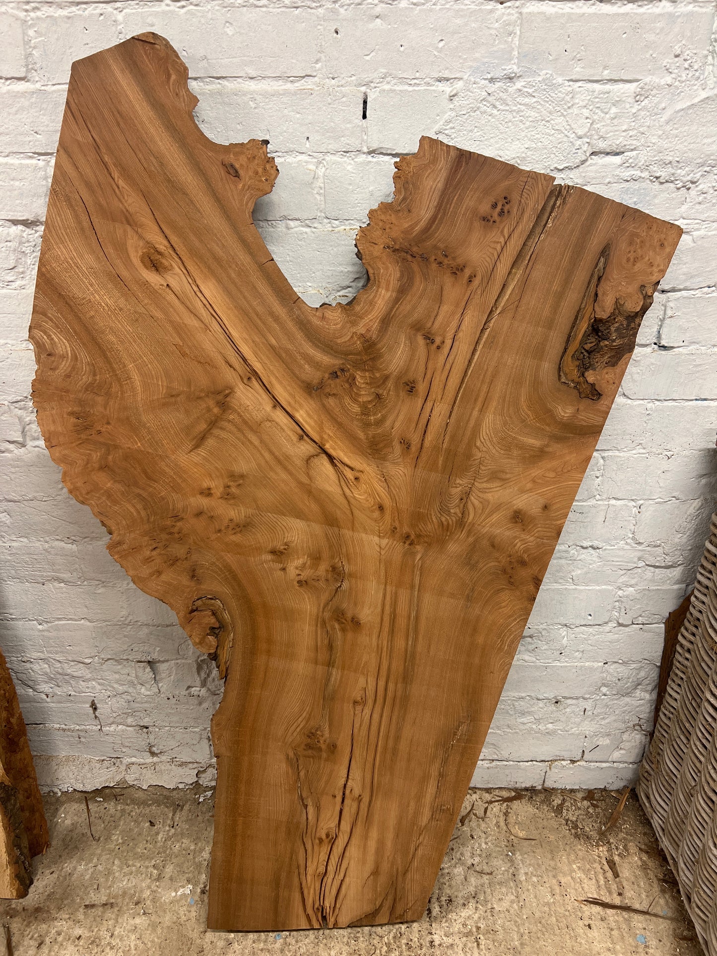 Burr Elm No 148 - 1280x340-770x40mm Planed