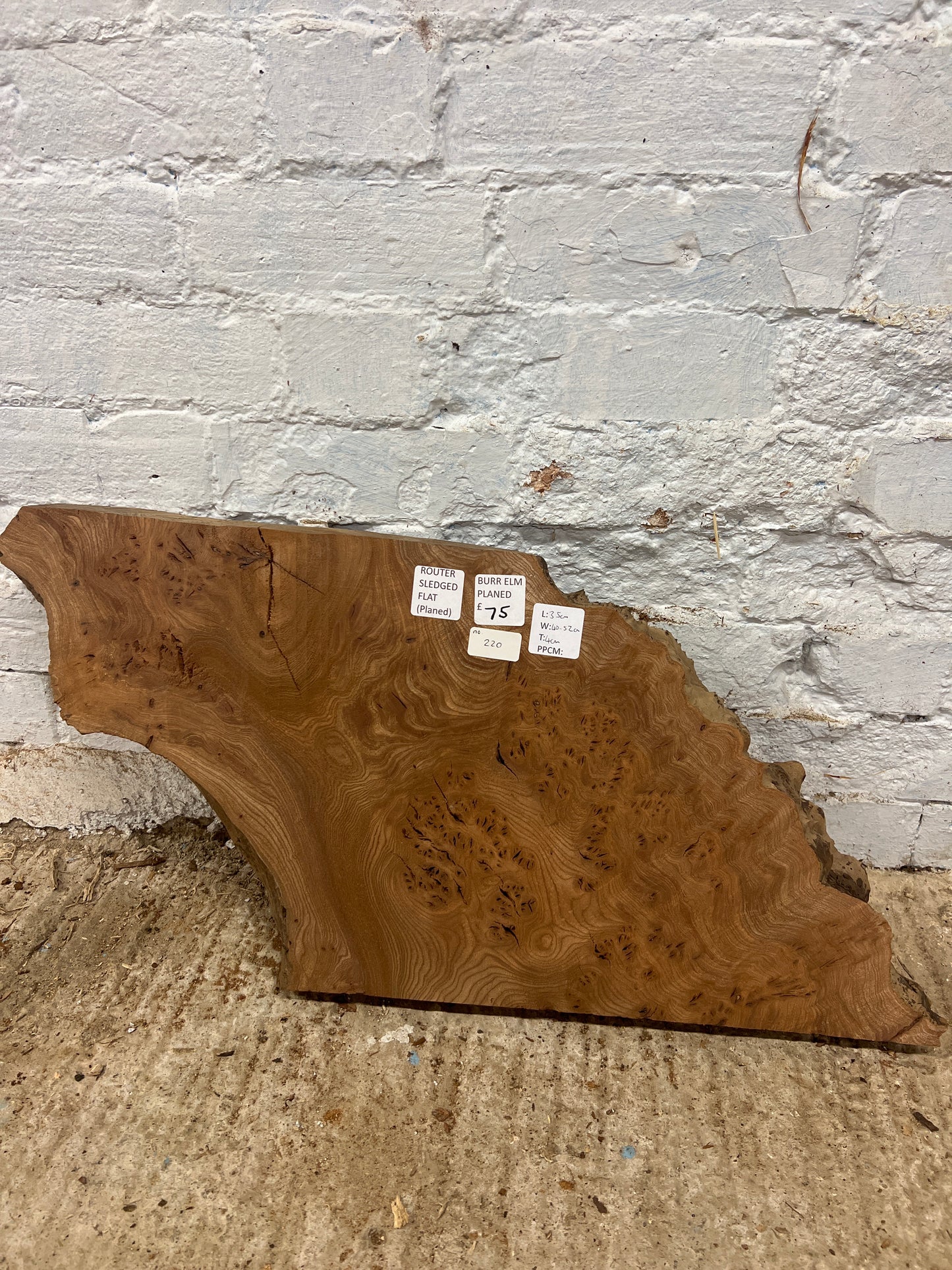 Burr Elm No 220- 350x400-520x40mm Planed