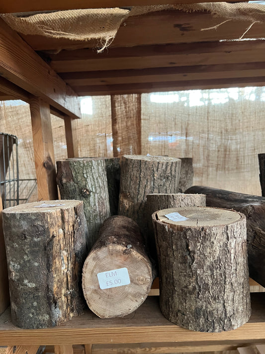 Elm + Ash Stumps - Sawn