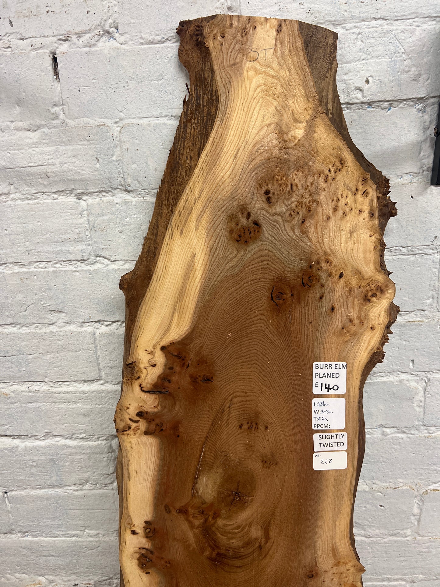Burr Elm No 228 - 1560x160-310x25mm Planed