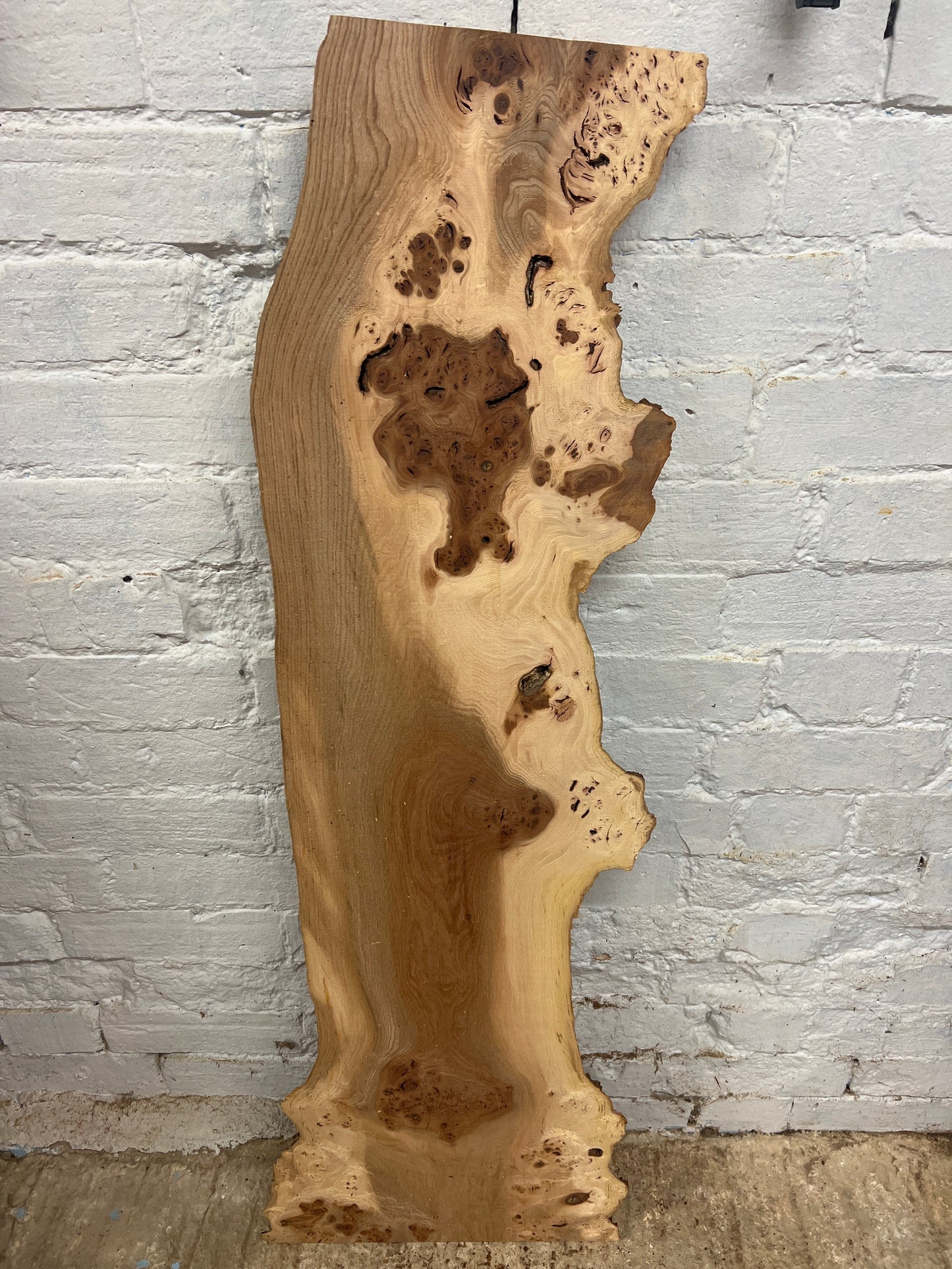 Burr Elm No 220- 1185x200-390x32mm Planed