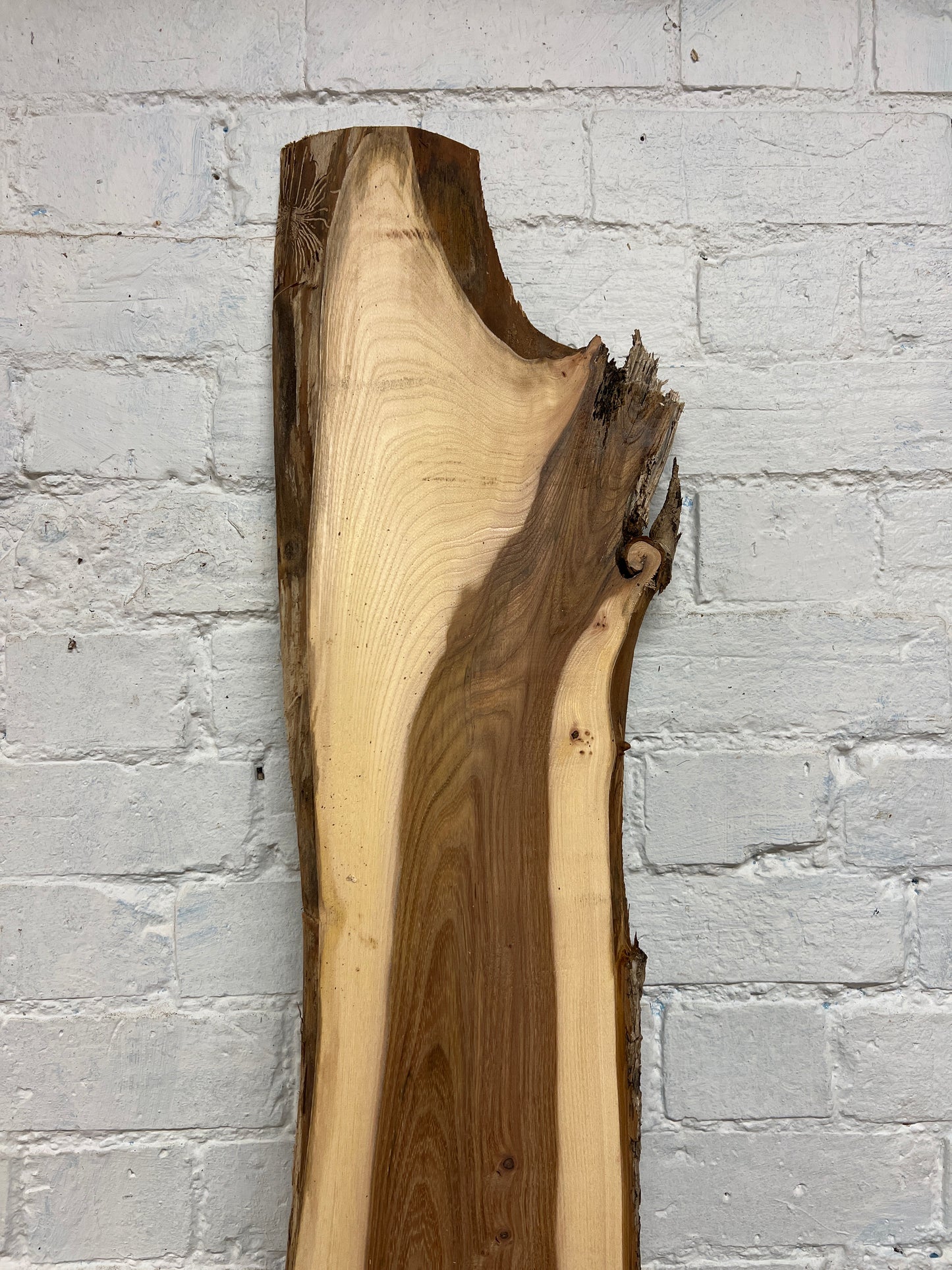 Elm No 10 - 1930x120-240x25mm Planed