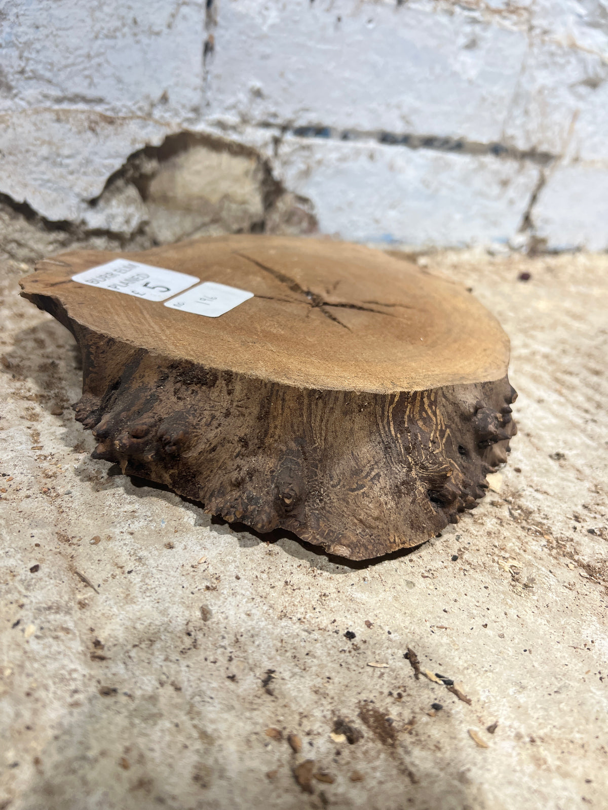 Elm No 196 - 230x180x40mm Sawn