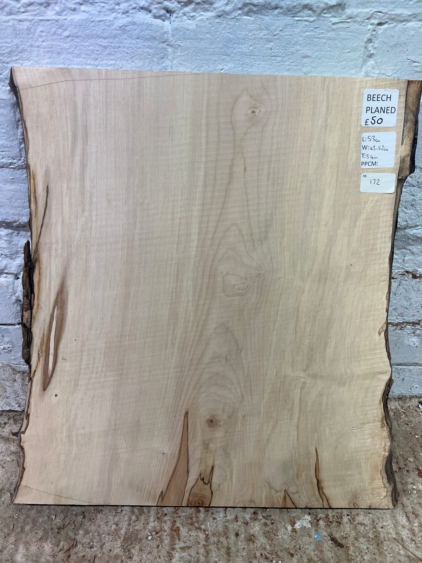 Beech No 172 - 530x430-520x34mm