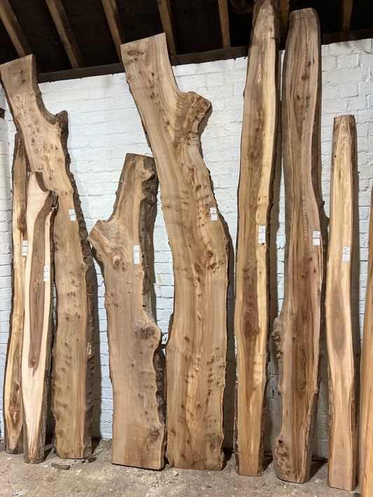 Planed Elm Boards - 2500mm+