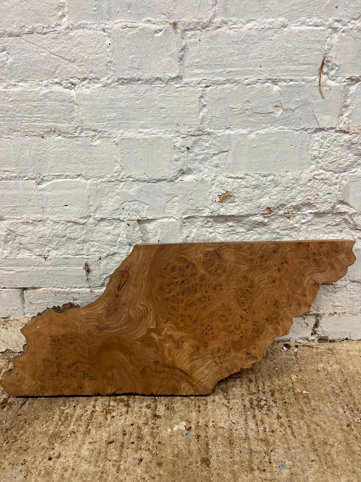 Burr Elm No 218 - 300x410-520x40mm Planed