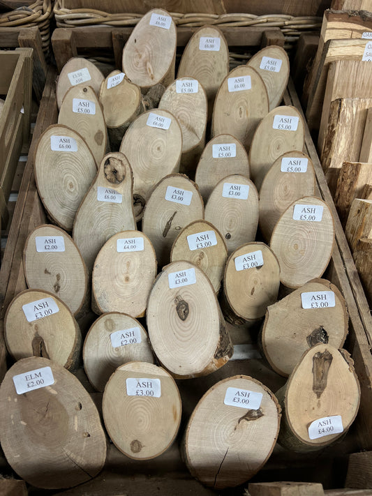 Ash Slanted Stumps - Sawn