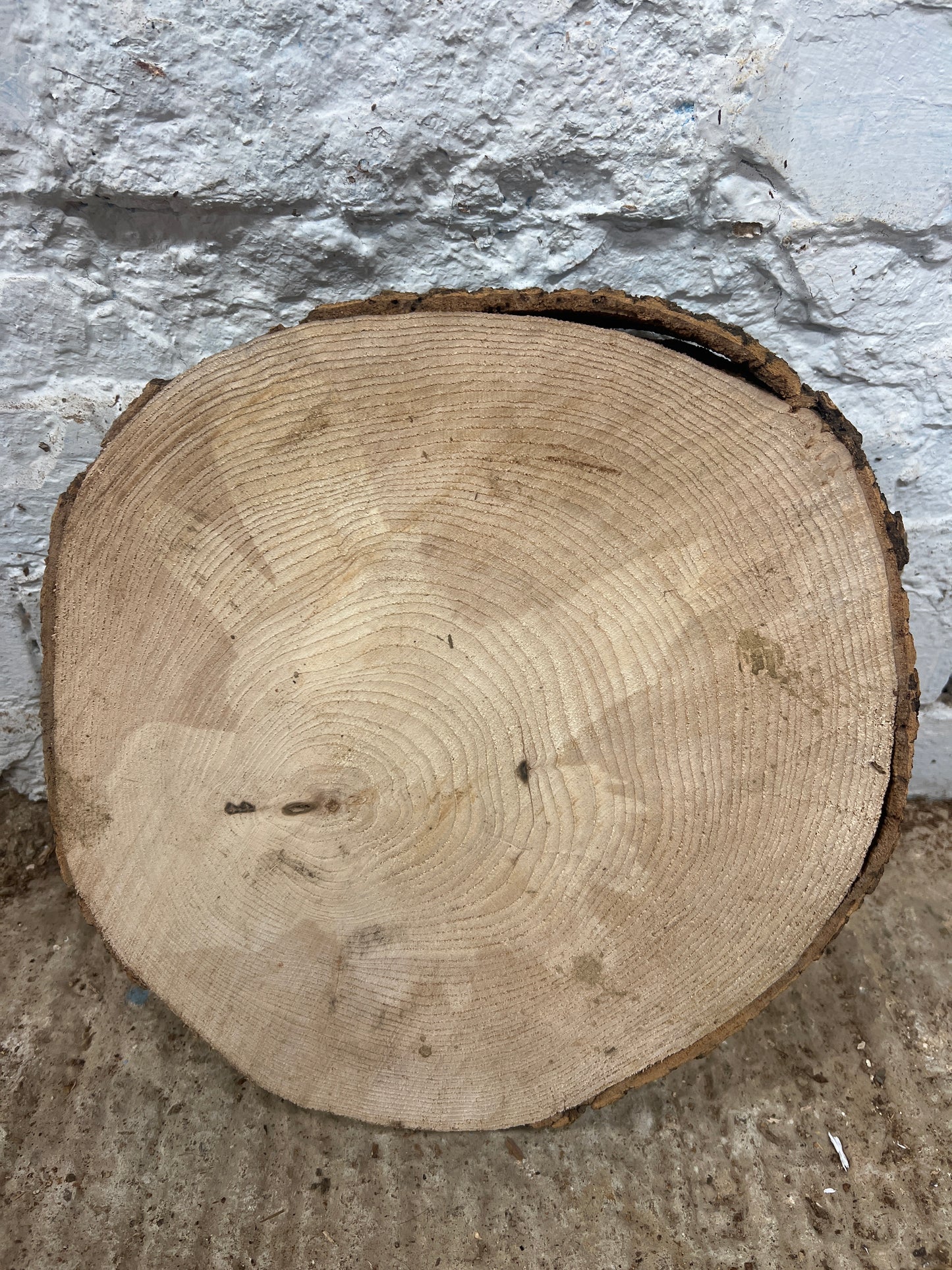 Ash No 141 - 320x320x60mm Sawn