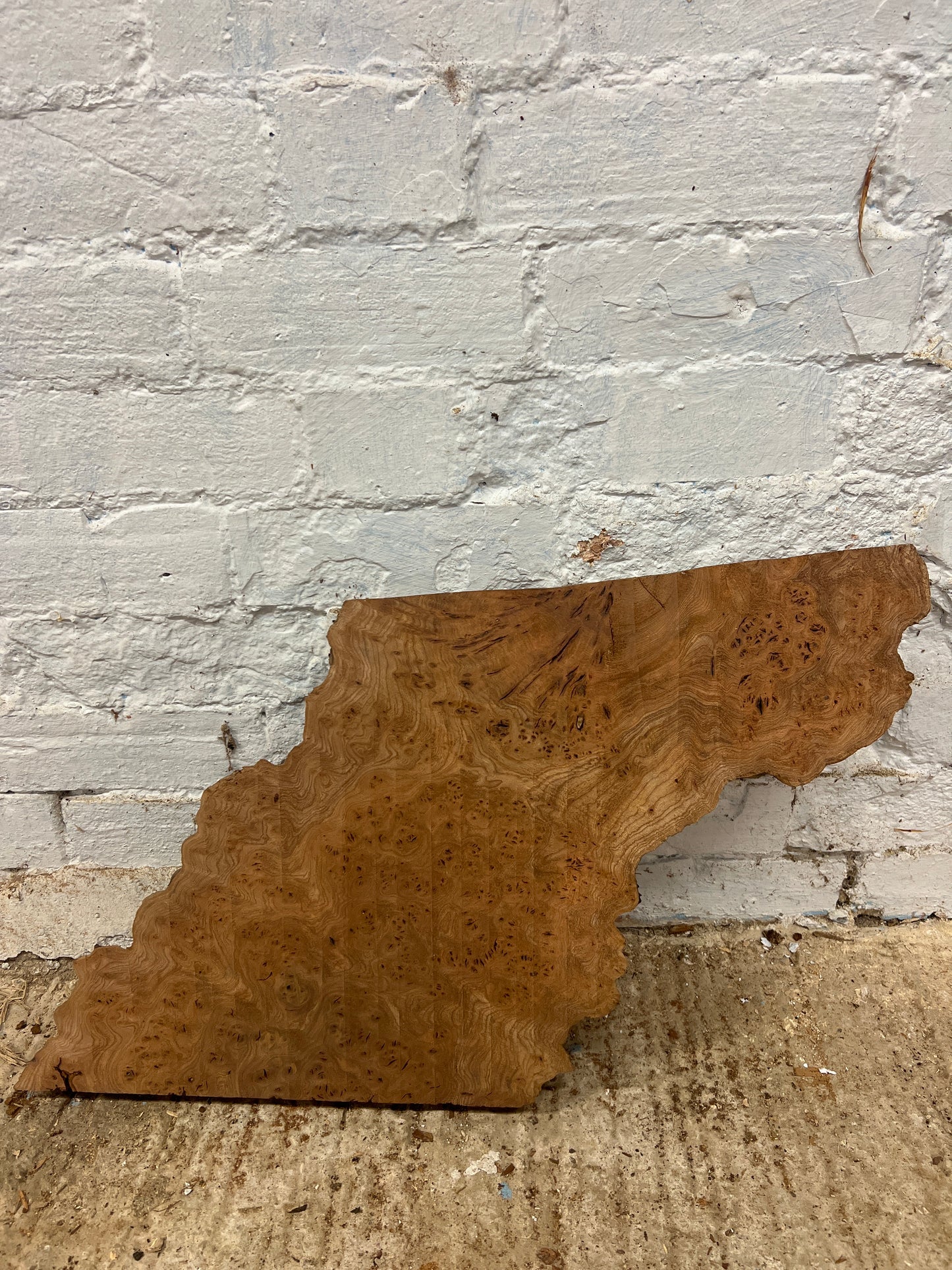 Burr Elm No 219 - 365x310-400x50mm Planed