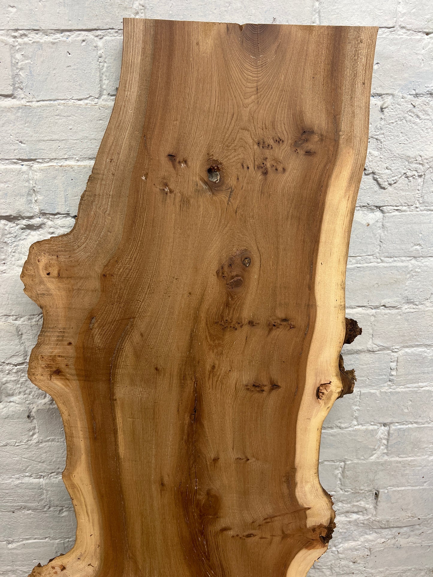 Burr Elm No 227 - 1305x310-480x43mm Planed