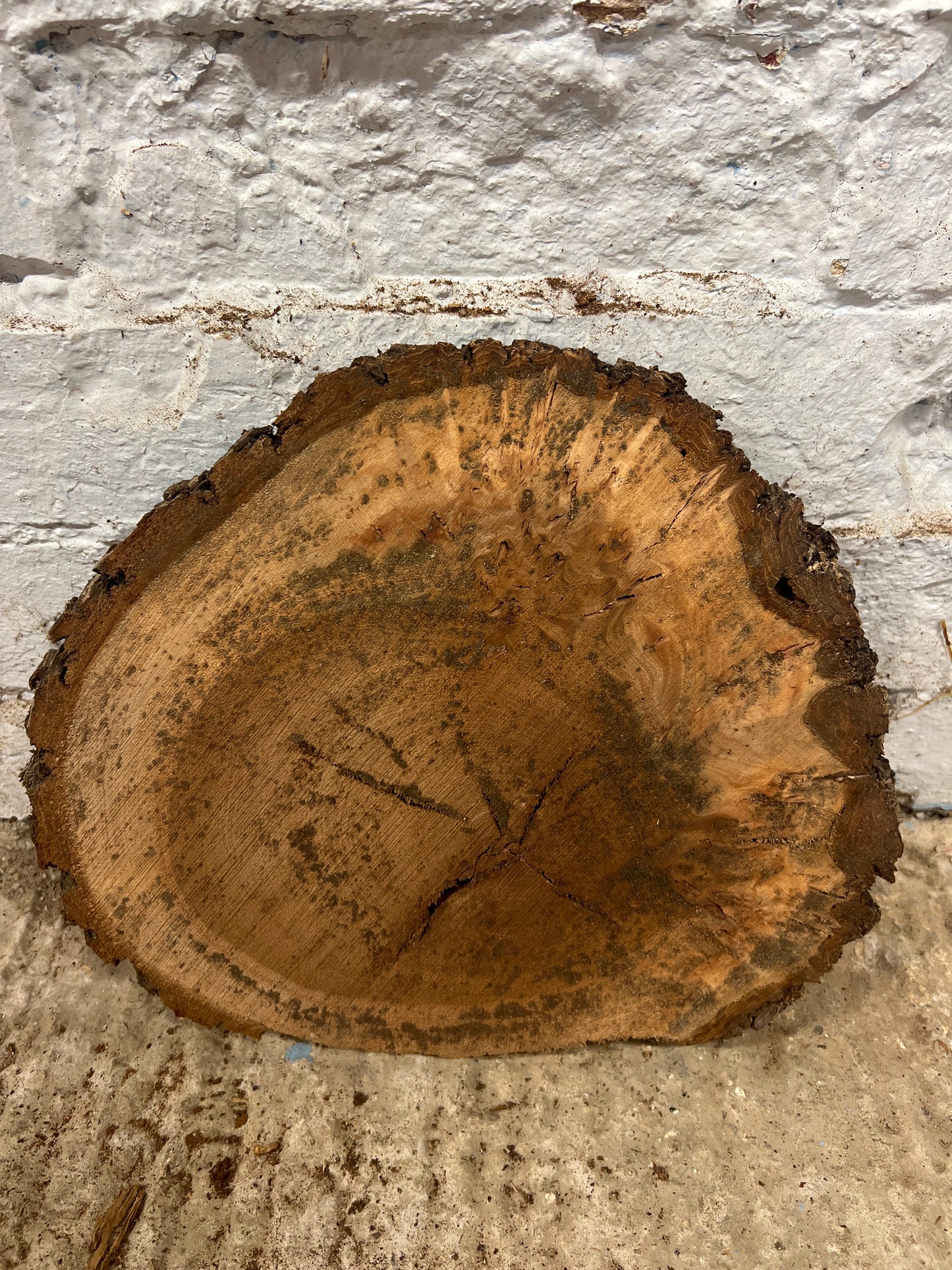 Burr Elm No 100 - 300x260x30mm Sawn