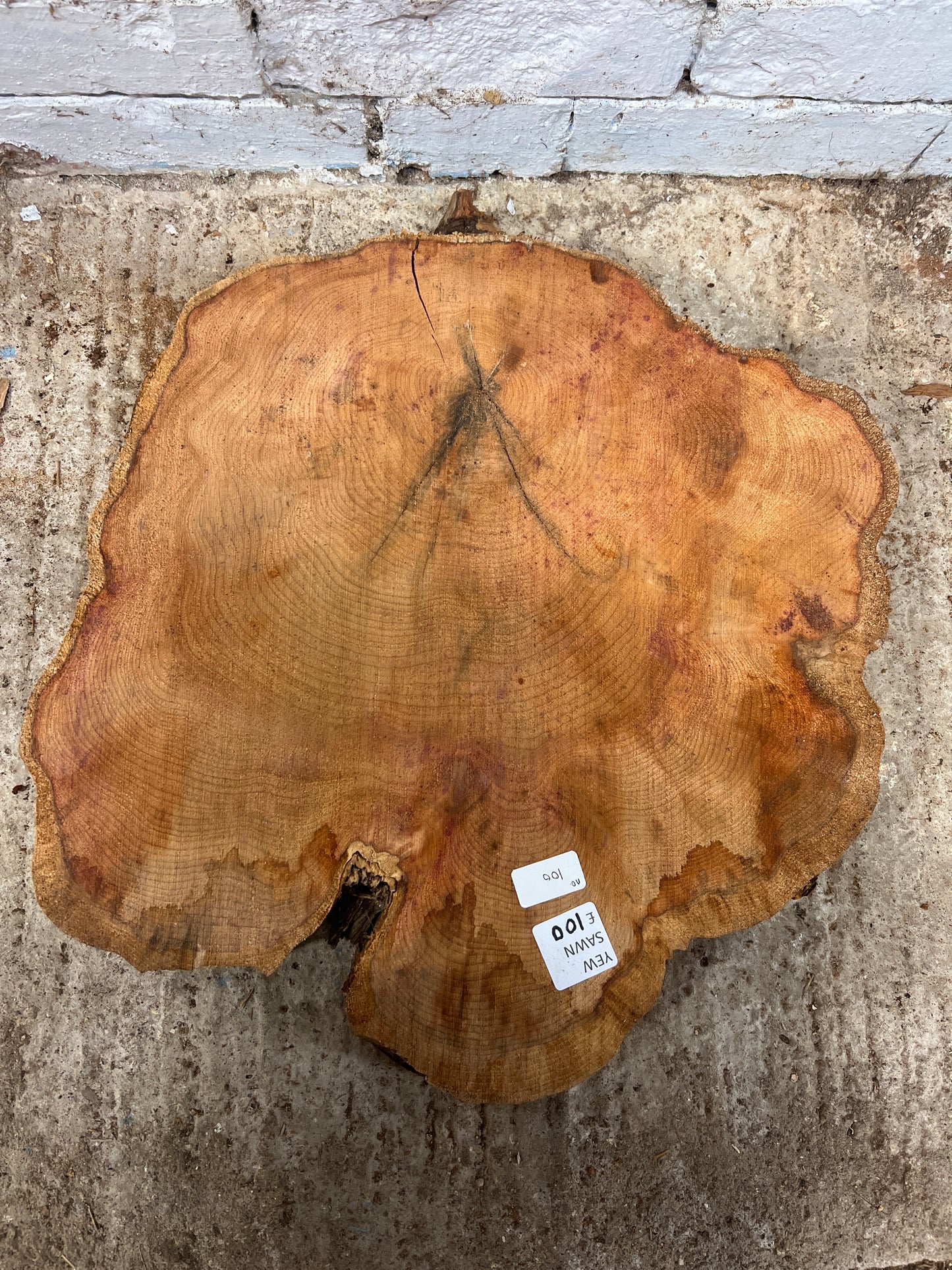 Yew No 100 - 540x500x50mm Sawn